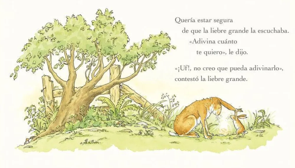 Kókinos Adivina Cuánto Te Quiero* Álbumes Ilustrados Infantiles