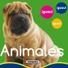 Susaeta Animales* Libros De Cartoné