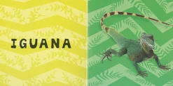 Susaeta Animales* Libros De Cartoné