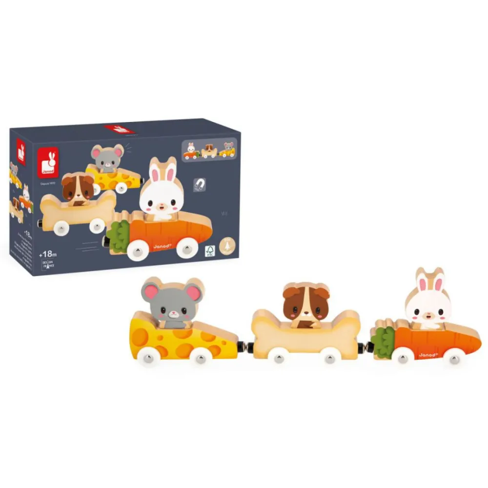 Janod Animales magnéticos de compañía ·*Niños Juguetes Waldorf|Juguetes Montessori