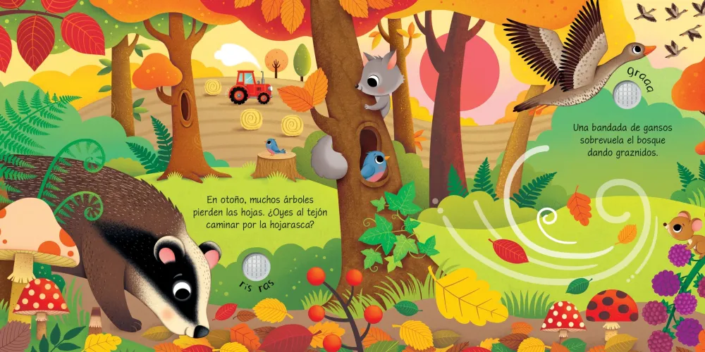 Usborne Así suenan Las Estaciones*Niños Libros Musicales Y Con Sonido|Libros Manipulativos