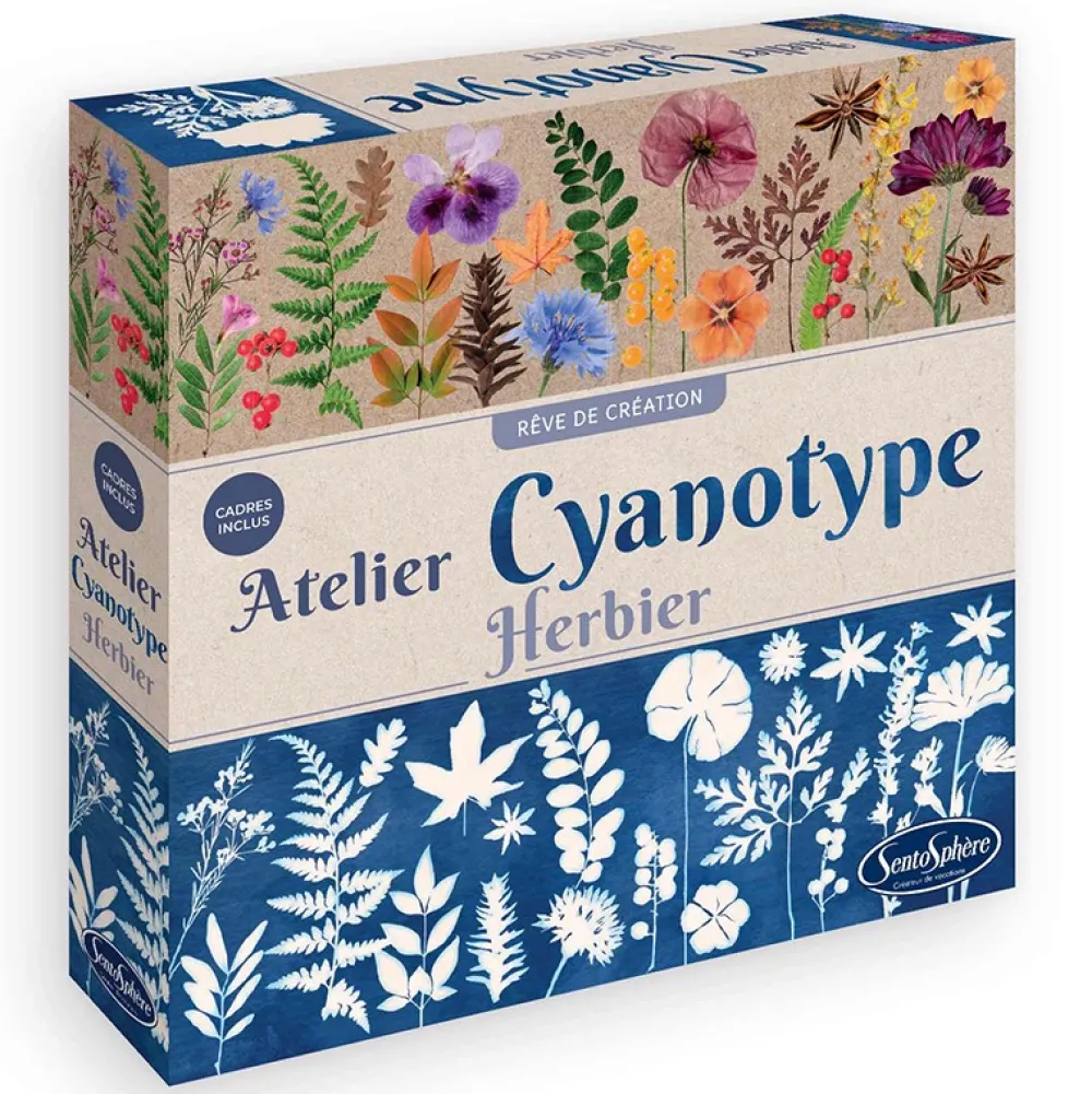 Sentosphère Atelier Cianotipos Herbario*Niños Kit De Manualidades