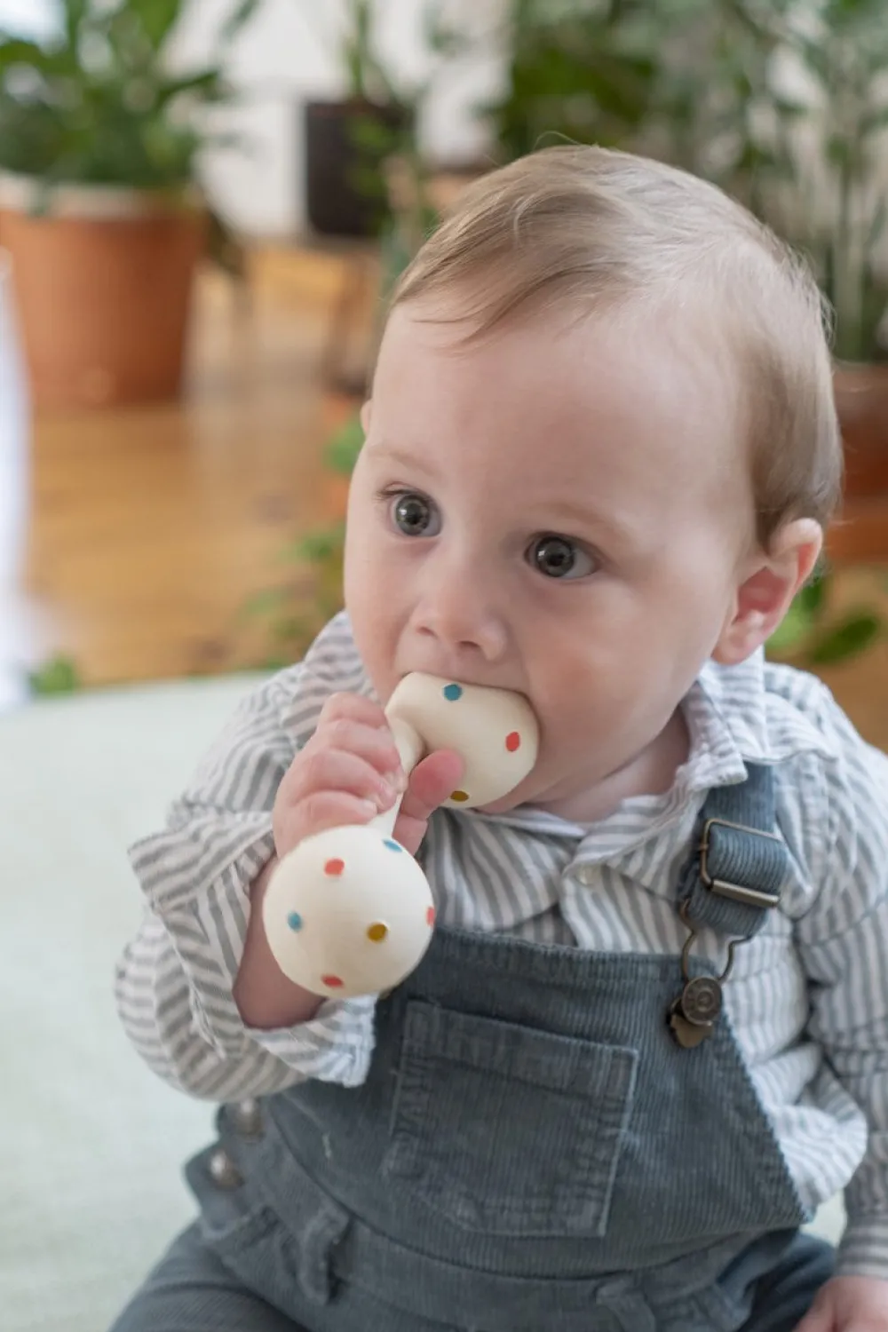 Lanco Baby Gym con cascabel*Niños Mordedores|Juguetes De Estimulación Para Bebé