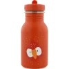 Trixie Botella Acero Loro 350ml ·* Botellas De Agua De Acero|Botellas De Agua Para El Cole·Botellas De Acero
