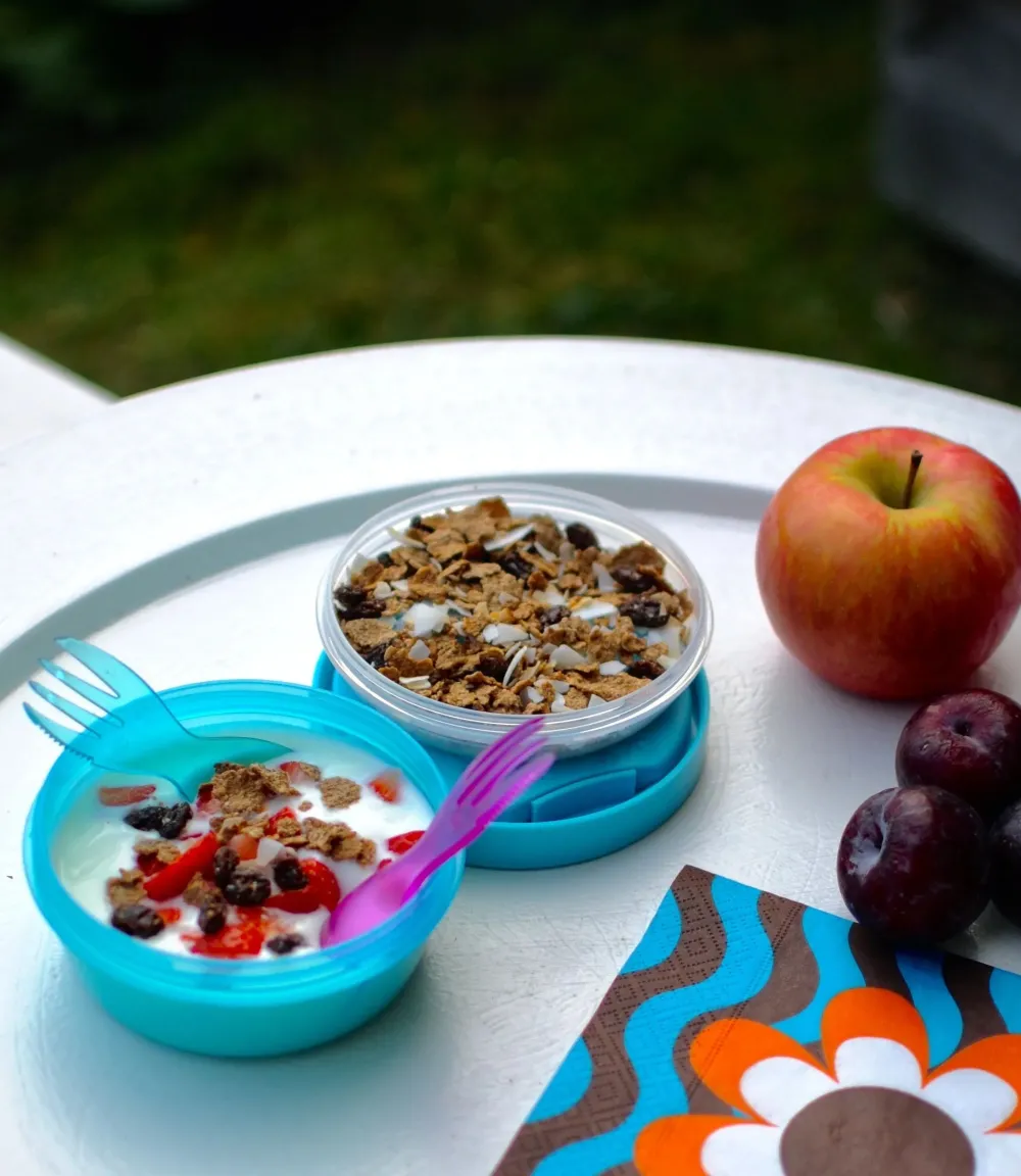 Carl Oscar Caja Almuerzo con Tapa Refrigerante N'ice Cup Grey ·* Cajas De Almuerzo Infantil·Con Compartimentos|Cajas De Almuerzo Infantil·Tuppers Fresquitos