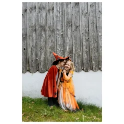 Great Pretenders Capa y sombrero Autumn Wizard · 4-6 •*Niños Disfraces Infantiles