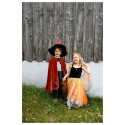 Great Pretenders Capa y sombrero Autumn Wizard · 4-6 •*Niños Disfraces Infantiles