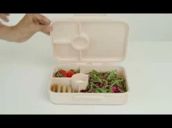 Citron Caja Almuerzo de tritán Flores* Cajas De Almuerzo Infantil·Con Compartimentos