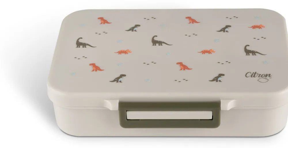 Citron Caja Almuerzo mediana de tritán Dino* Cajas De Almuerzo Infantil·Con Compartimentos