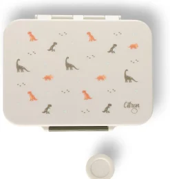 Citron Caja Almuerzo mediana de tritán Dino* Cajas De Almuerzo Infantil·Con Compartimentos