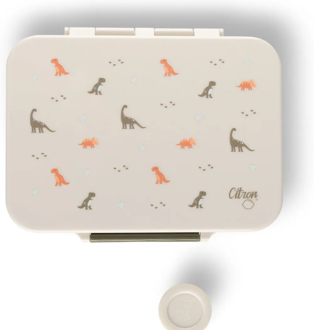Citron Caja Almuerzo mediana de tritán Dino* Cajas De Almuerzo Infantil·Con Compartimentos