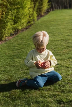The Zoofamily Cámara Fotográfica Urban Zoo Fox ·*Niños Tecnología|Cámaras Infantiles
