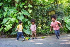 Plantoys Cocodrilo Arco Iris*Niños Juguetes Waldorf|Juguetes Montessori