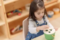 Plantoys Cubo clasifica figuras ·*Niños Juguetes Waldorf|Juguetes De Madera Para Niños