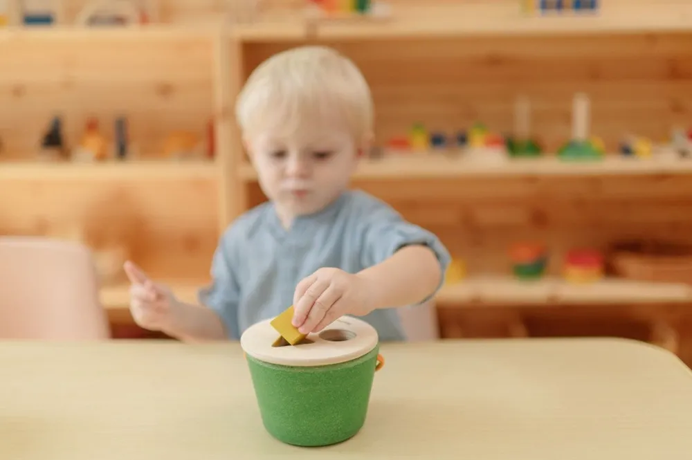 Plantoys Cubo clasifica figuras ·*Niños Juguetes Waldorf|Juguetes De Madera Para Niños