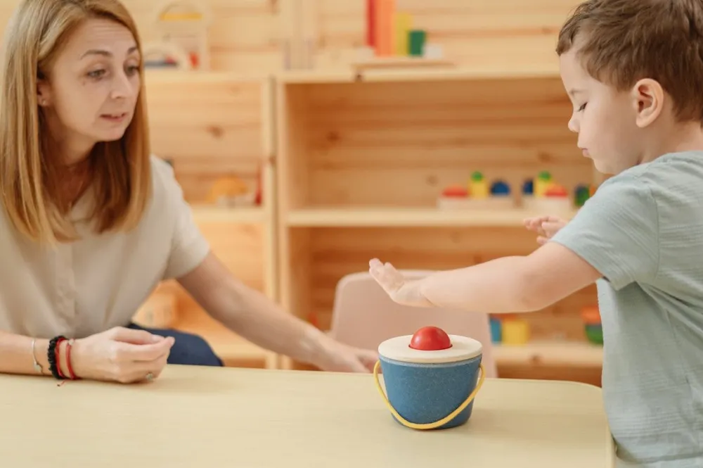 Plantoys Cubo empuja y cae ·*Niños Juguetes Waldorf|Juguetes De Madera Para Niños