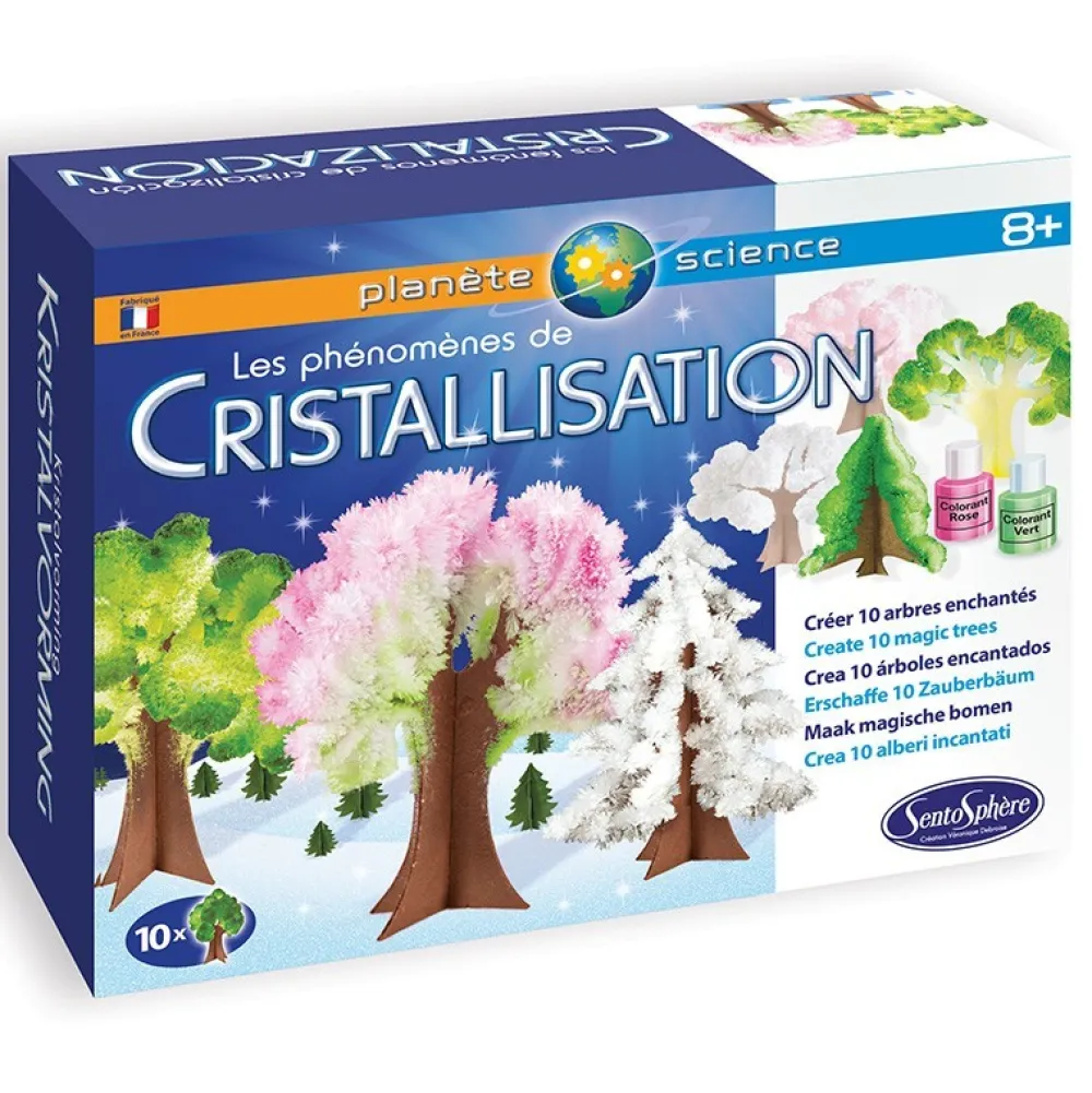 Sentosphère El fenómeno de la cristalización*Niños Kit De Manualidades