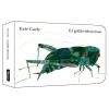 Kókinos El grillo silencioso - Cartoné* Libros Sobre Emociones|Álbumes Ilustrados Infantiles