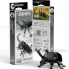 EUGY · Escarabajo Rhino*Niños Kit De Manualidades