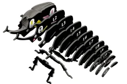 EUGY · Escarabajo Rhino*Niños Kit De Manualidades