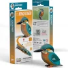 EUGY · Kingfisher*Niños Kit De Manualidades