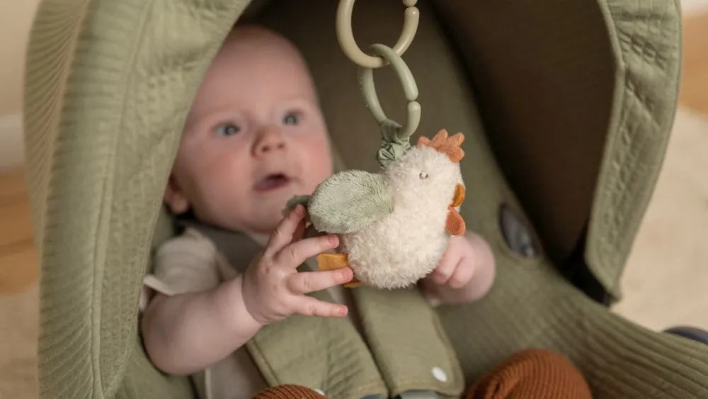 Little Dutch Gallina Pull & Shake Pequeña Granja ·*Niños Muñecos Blanditos|Peluches