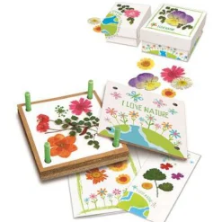 4M GreenCreativity Taller de Flores Prensadas ·*Niños Kit De Manualidades