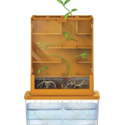4M GreenScience Haz crecer tus plantas Laberinto ·*Niños Juguetes Stem