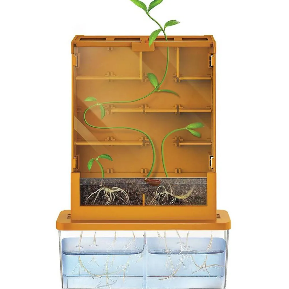 4M GreenScience Haz crecer tus plantas Laberinto ·*Niños Juguetes Stem