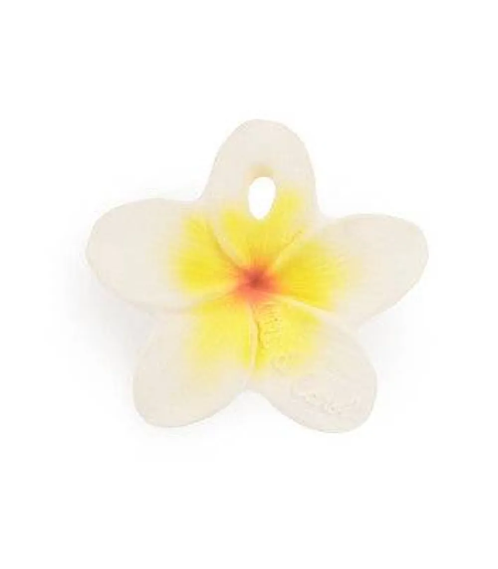 Oliu0026Carol Hawaii The Flower*Niños Mordedores|Oli & Carol