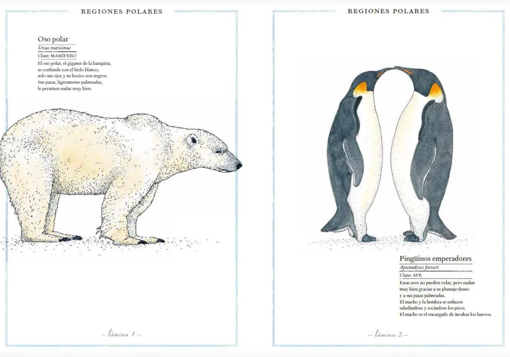 Faktoria K de Libros Inventario Ilustrado de Animales* Álbumes Ilustrados Infantiles