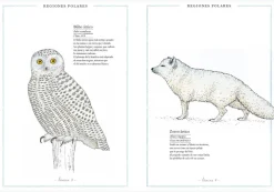 Faktoria K de Libros Inventario Ilustrado de Animales* Álbumes Ilustrados Infantiles
