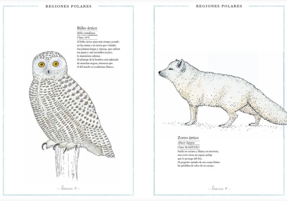 Faktoria K de Libros Inventario Ilustrado de Animales* Álbumes Ilustrados Infantiles
