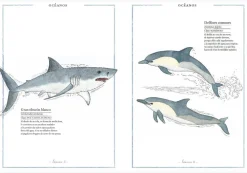 Faktoria K de Libros Inventario Ilustrado de Animales* Álbumes Ilustrados Infantiles