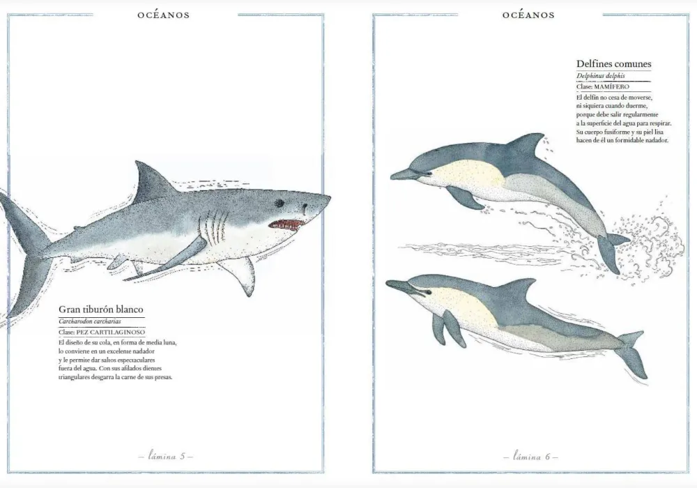 Faktoria K de Libros Inventario Ilustrado de Animales* Álbumes Ilustrados Infantiles