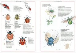 Faktoria K de Libros Inventario Ilustrado de Insectos* Álbumes Ilustrados Infantiles
