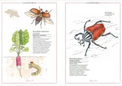 Faktoria K de Libros Inventario Ilustrado de Insectos* Álbumes Ilustrados Infantiles