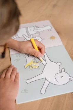 Little Dutch Libro colorear Pequeña Granja ·*Niños Juegos De Viaje