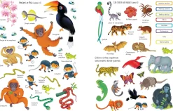 Usborne Libro de pegatinas · La Selva* Libros De Pegatinas