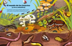 Usborne Libro de pegatinas Bichitos* Libros De Pegatinas