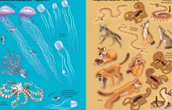 Usborne Libro de pegatinas Los animales mas peligrosos del mundo* Libros De Pegatinas