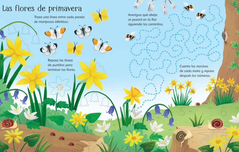 Usborne Libro Pizarra · Vamos al bosque*Niños Libros Pizarra De Usborne|Juegos De Viaje