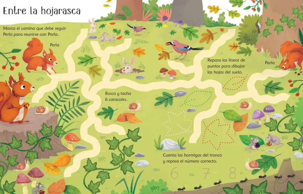 Usborne Libro Pizarra · Vamos al bosque*Niños Libros Pizarra De Usborne|Juegos De Viaje