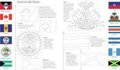 Usborne Libro Puzzle Banderas del Mundo*Niños Puzzles 300 Piezas|Puzzles Con Libro