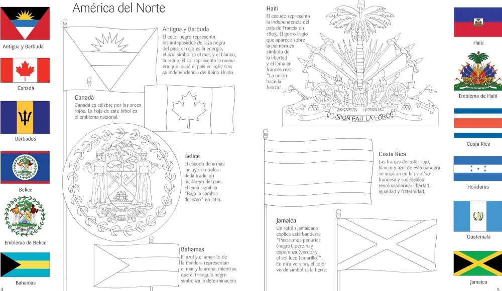 Usborne Libro Puzzle Banderas del Mundo*Niños Puzzles 300 Piezas|Puzzles Con Libro