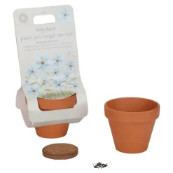 Little Dutch Maceta planta No me Olvides ·*Niños Juguetes De Toda La Vida