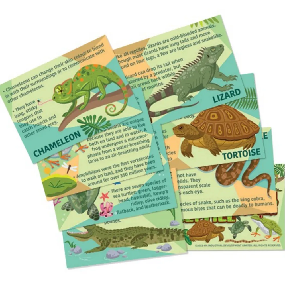 4M Moldea y Pinta Reptiles y Anfibios ·*Niños Kit De Manualidades