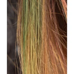 Namaki Máscara para el pelo Verde ·*Niños Disfraces Infantiles