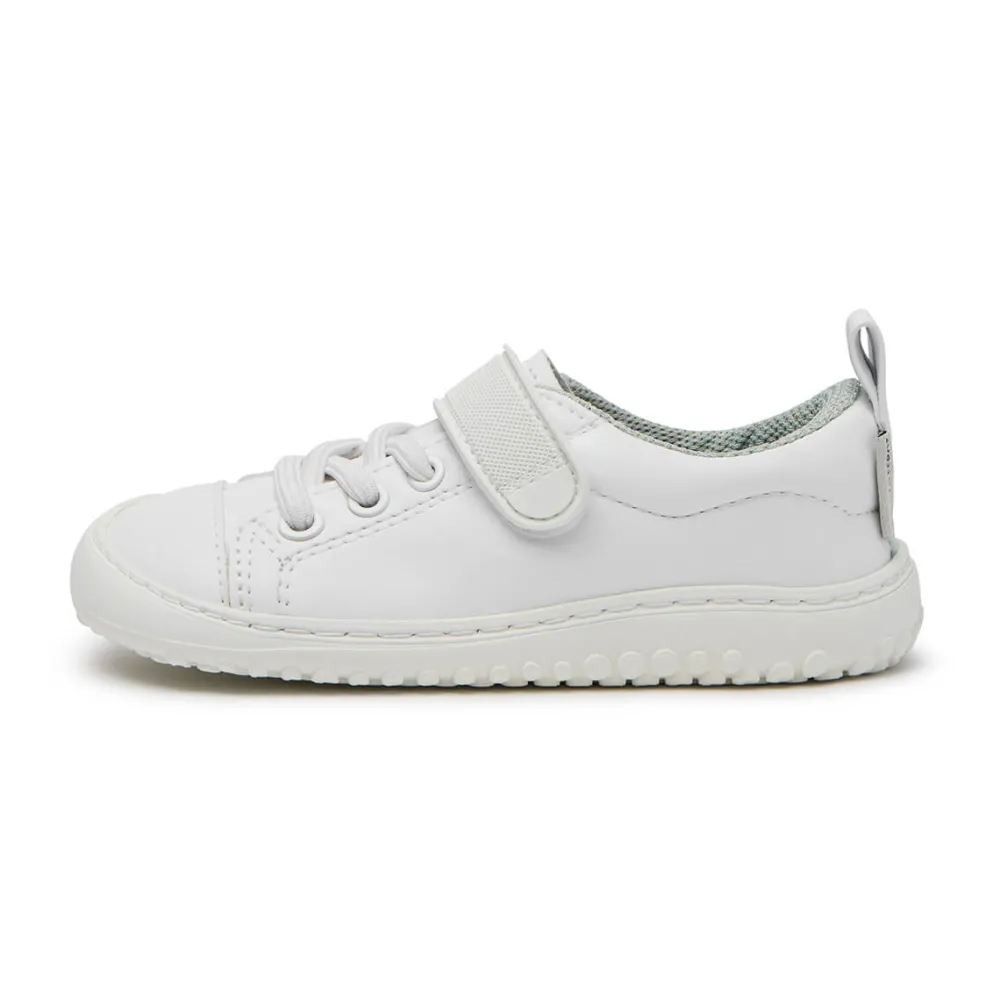 zapato FEROZ Paterna Rocker AW25* Zapato Feroz