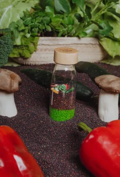 Petit Boum · Learn Bottle Veggies*Niños Juguetes Antiestrés|Botellas Sensoriales